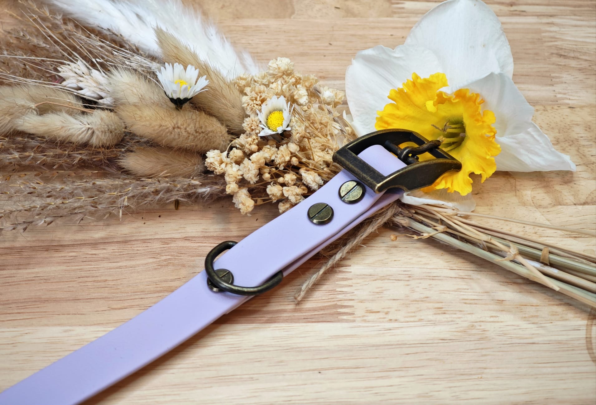 Collier chien Biothane Lila pastel – fait main – largeur 19 mm