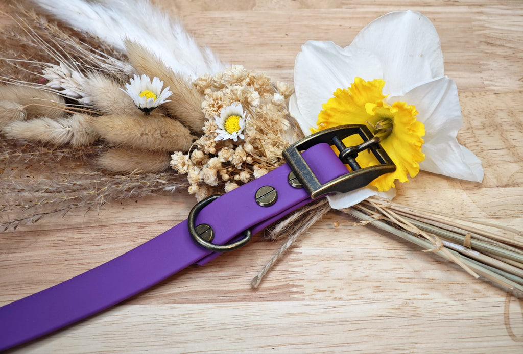 Collier chien Biothane Violet grappe – fait main – largeur 19 mm