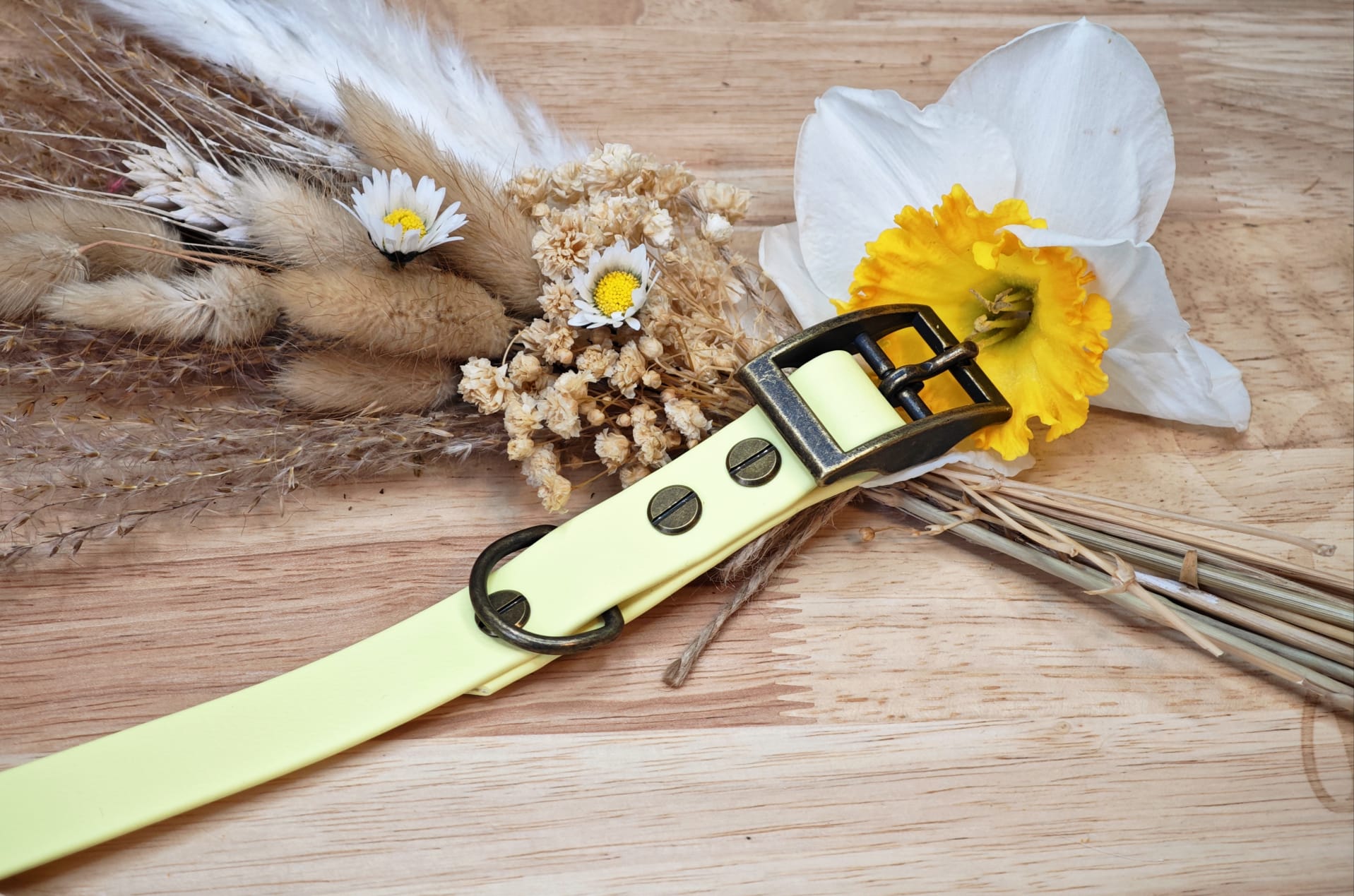 Collier chien Biothane Jaune pastel – fait main – largeur 19 mm