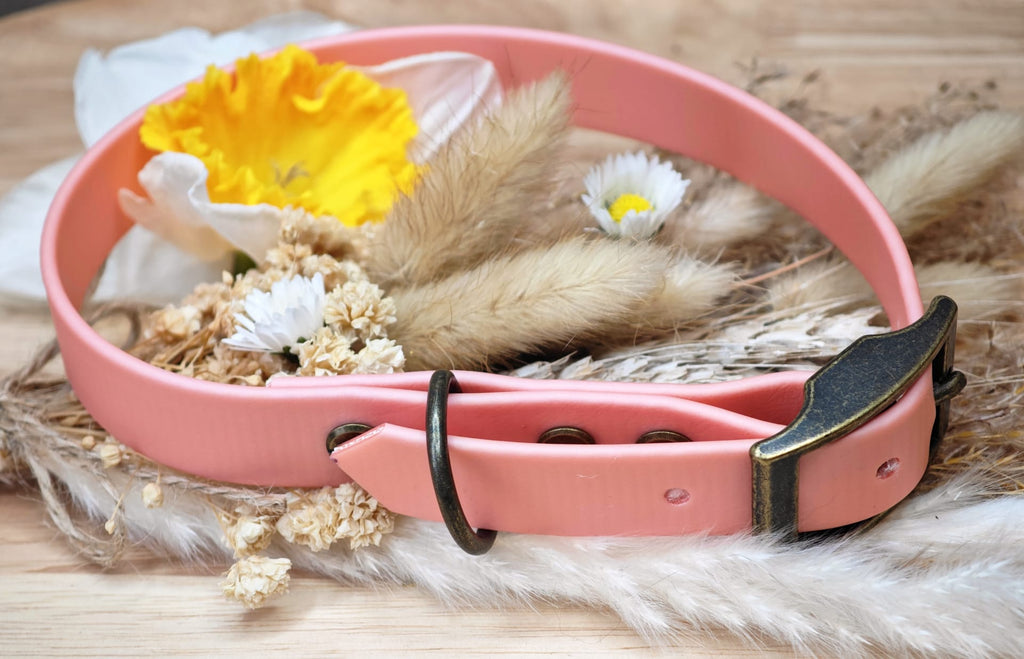 Collier chien Biothane Rose Or – fait main – largeur 19 mm