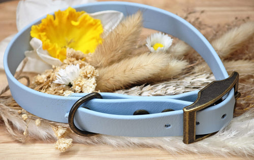 Collier chien Biothane Bleu pastel – fait main – largeur 19 mm