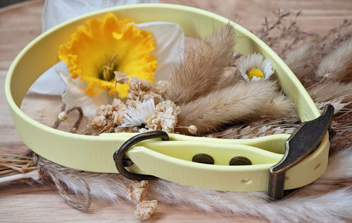 Collier chien Biothane Jaune pastel – fait main – largeur 19 mm