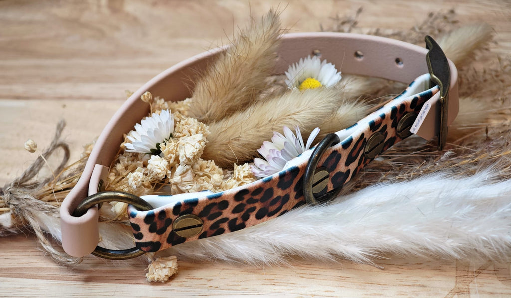 Collier chien Biothane bicolore Beige Léopard – fait main – largeur 16 mm