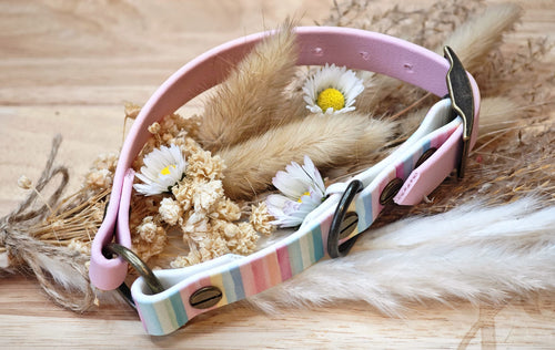 Collier chien Biothane bicolore rose & pastel – fait main – largeur 16 mm