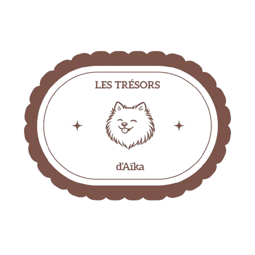 Les trésors d'Aika 