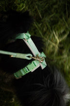 Harnais pour chien – Vert pastel en velours 💚