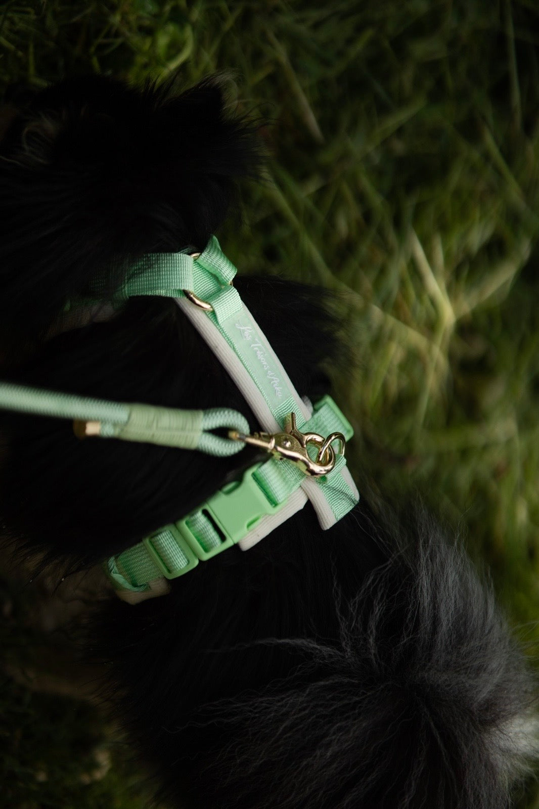 Harnais pour chien – Vert pastel en velours 💚