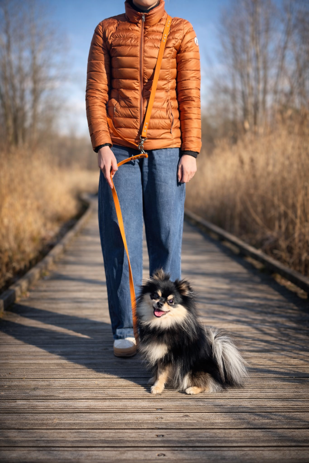 Laisse chien biothane