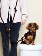 Laisse multi positions - Marron