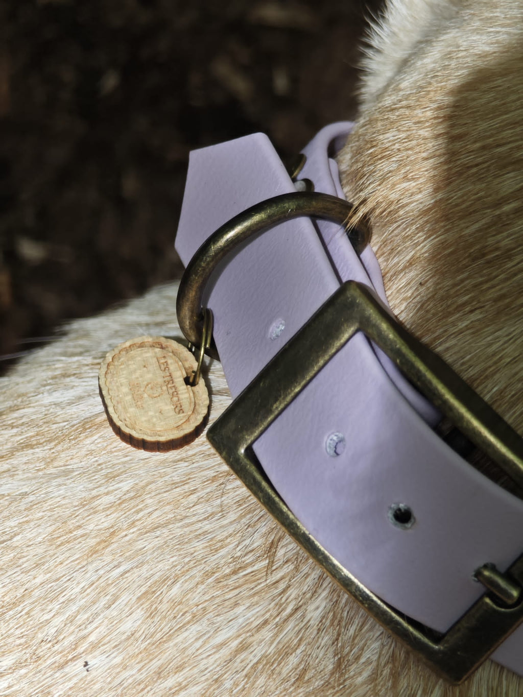 Collier chien Biothane lila pastel – fait main – largeur 25 mm