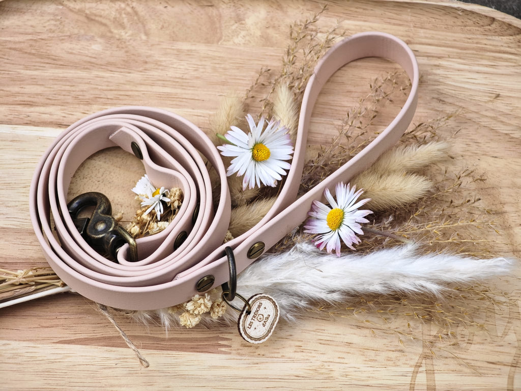 Laisse en Biothane beige – Fabrication artisanale